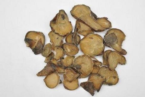 熟附子的功效与作用 熟附子的功效与作用及禁忌用量