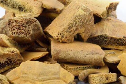 龟甲的功效与作用（龟甲的功效与作用的功能与主治与用量）