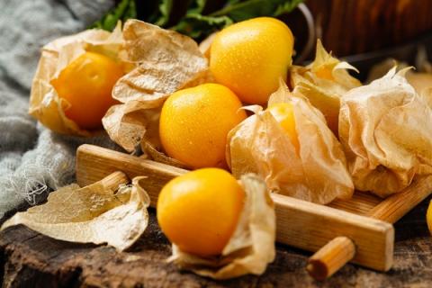 菇娘果的功效与作用 菇娘果的功效与作用及营养