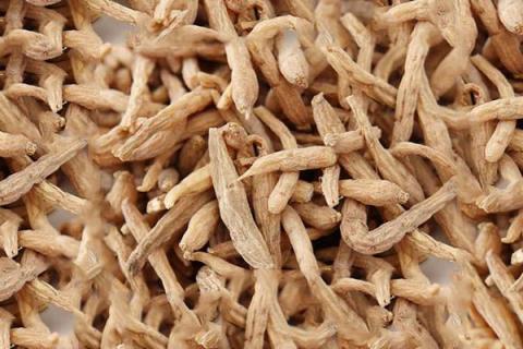 太子参泡水喝的功效与作用 太子参泡水喝的功效与作用禁忌