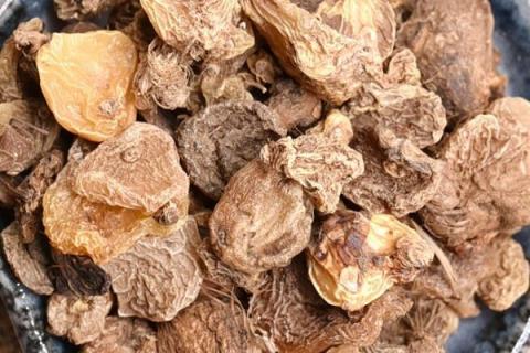 山慈菇的功效与作用（山慈菇的功效与作用主要治什么病）