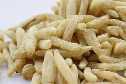 寸冬的功效与作用（寸冬的功效与作用的功能与主治）