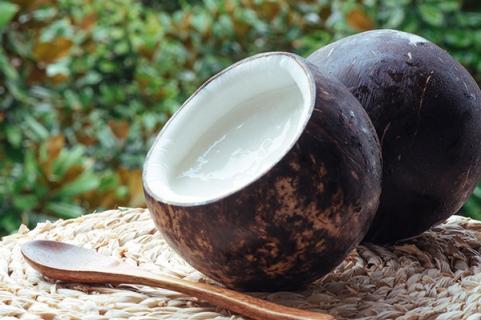 椰子肉的功效与作用 椰子水的功效与作用及禁忌