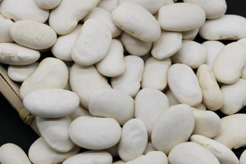 白芸豆的功效与作用（白芸豆的功效与作用及副作用）