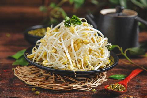 豆芽菜的功效与作用 豆芽菜的功效与作用及营养价值