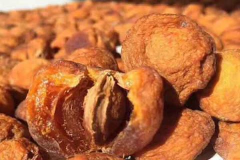 吊干杏的功效与作用 吊干杏的功效与作用害处和禁忌