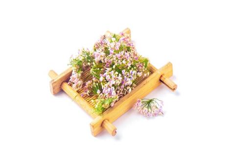 野韭菜花的功效与作用（野韭菜花的功效与作用和副作用）