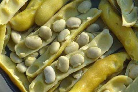 狗爪豆的功效与作用（狗爪豆的功效与作用禁忌）