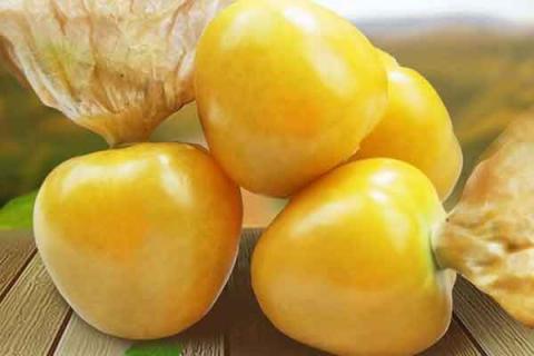 黄姑娘果的功效与作用（黄姑娘果的功效与作用及禁忌）