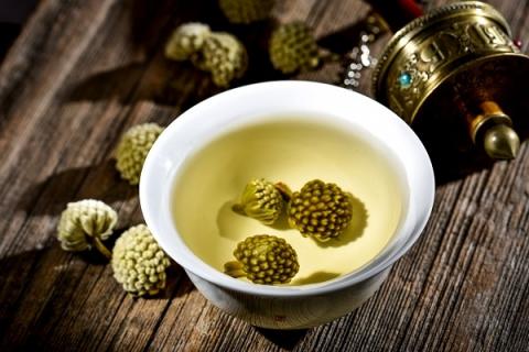 绿萝花的功效与作用（绿萝花的功效与作用及泡水的剂量）