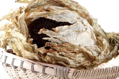 雪连花的功效与作用 雪连花的功效与作用?西藏