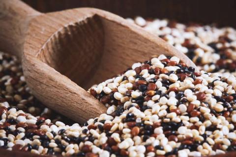 谷母藜麦的功效与作用（谷母藜麦的功效与作用及禁忌）