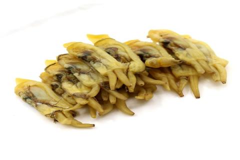 蛏干的功效与作用 蛏干的功效与作用及营养