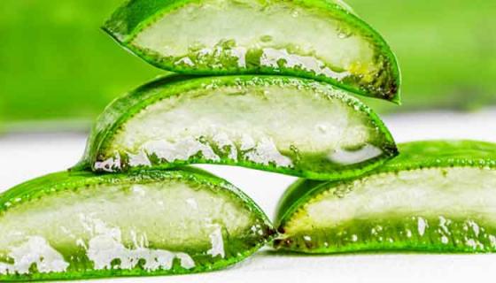 芦荟凝胶的功效与作用（保湿芦荟凝胶的功效与作用）