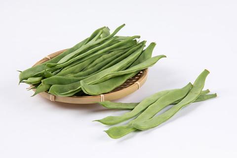 芸豆的功效与作用（白芸豆的功效与作用）