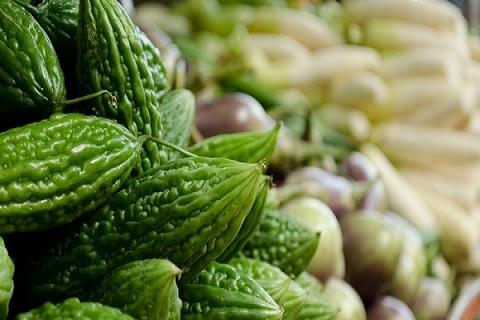 山苦瓜的功效与作用 山苦瓜的功效与作用及禁忌