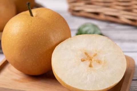 黄皮梨子的功效与作用 黄皮梨的好处与坏处