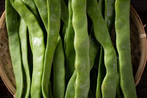 菜豆的功效与作用（黑豆的功效与作用）