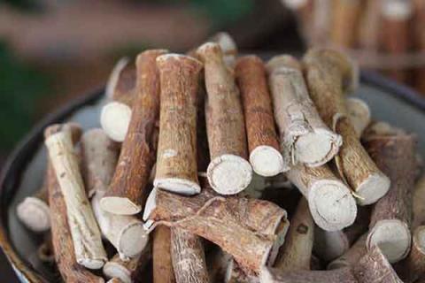 牛奶树根的功效与作用 红花牛奶树根的功效与作用