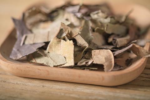 柿子叶泡水喝的功效与作用 柿子叶泡水喝的功效与作用视频解答