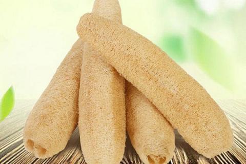 丝瓜瓤煮水喝的功效与作用（丝瓜瓤泡水喝的作用与功效）