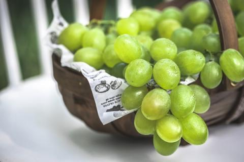 青提子的功效与作用（青提子的功效与作用及副作用）