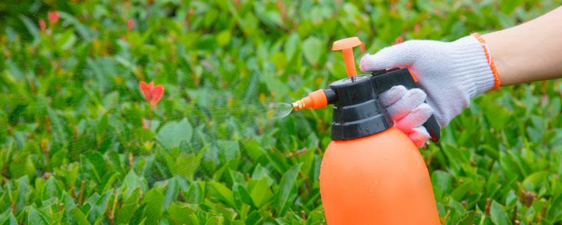 农药稀释倍数怎样换算（农药稀释倍数怎样换算1500倍）