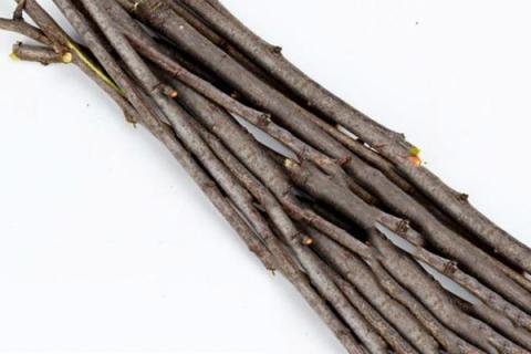 桃树枝的功效与作用 桃树枝的功效与作用孕妇可以喝么