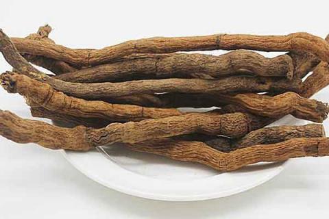 胡椒根的功效与作用 胡椒根的功效与作用禁忌