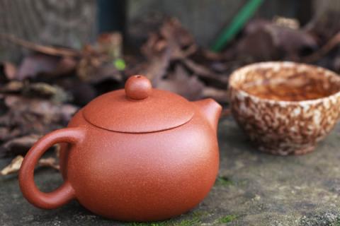 黄苦荞茶的功效与作用 黑苦荞与黄苦荞茶的功效与作用