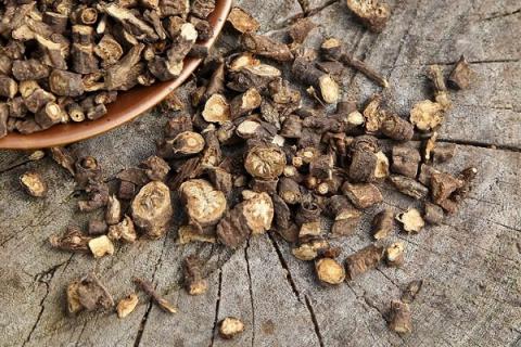 醋北柴胡的功效与作用 中药醋北柴胡的功效与作用