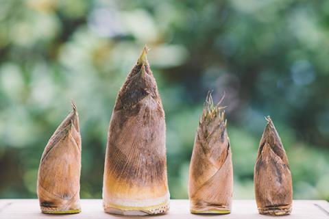 甜笋的功效与作用 甜笋的功效与作用禁忌