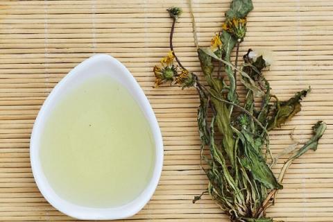 婆婆丁晒干泡水的功效与作用（婆婆丁晒干泡水还是新鲜泡水好）