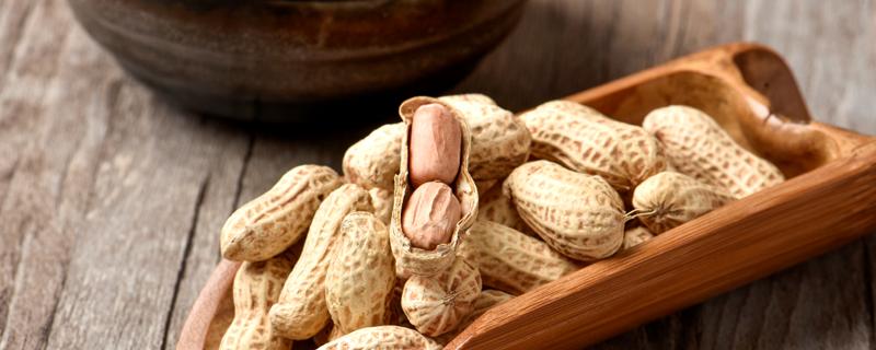 花生种植时间和方法 大棚花生种植时间和方法