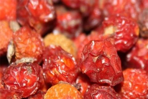 刺玫果的功效与作用（刺玫果的功效与作用及禁忌的功效与作用）