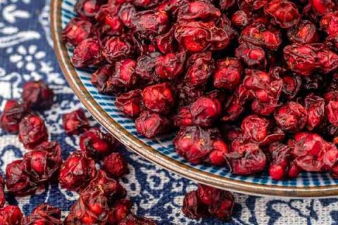 五味子功效与作用的功效与作用（五味子功效与作用的功效与作用禁忌）