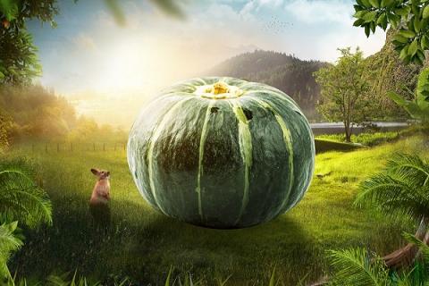 绿南瓜的功效与作用 绿南瓜的功效与作用以及营养价值