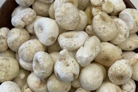 麻芋子的功效与作用 麻芋子的功效与作用禁忌