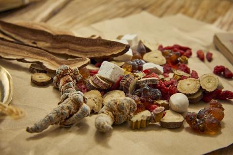 麸炒苍术的功效与作用 麸炒苍术的功效与作用的功能与主治与用量