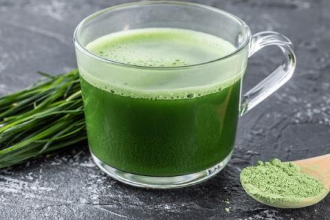 道田青汁的功效与作用（道田青汁的功效作用与禁忌）