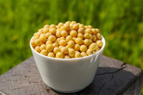 大豆蛋白的功效与作用 大豆蛋白肽的作用和功效