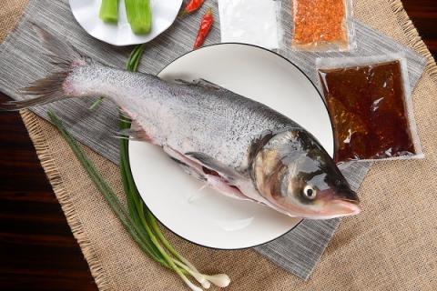 鲢鱼的功效与作用（吃花鲢鱼的功效与作用）