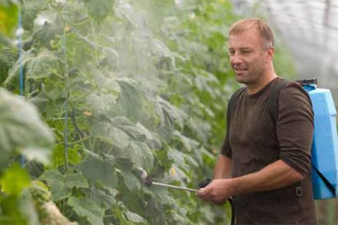 硼肥的功效与作用 硼肥的功效与作用及副作用