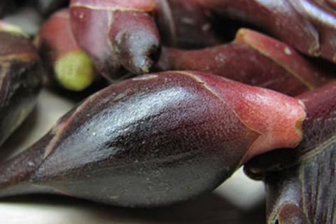 阳霍的功效与作用 阳霍的功效与作用吃法