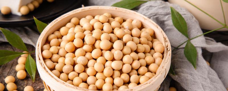 黄豆什么时间种(黄豆什么时间种最好 花生什么时间种最合适)