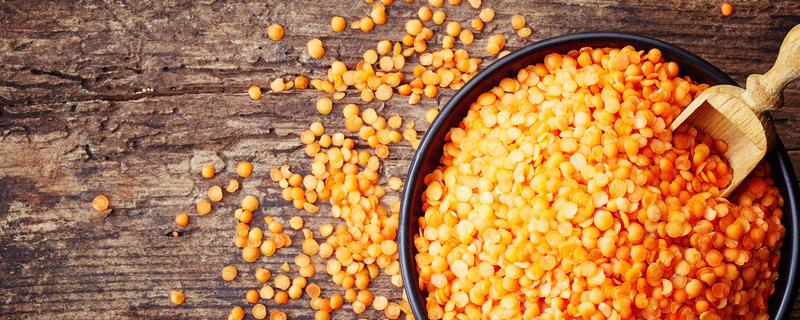 春玉米播种注意事项 春玉米播种技术