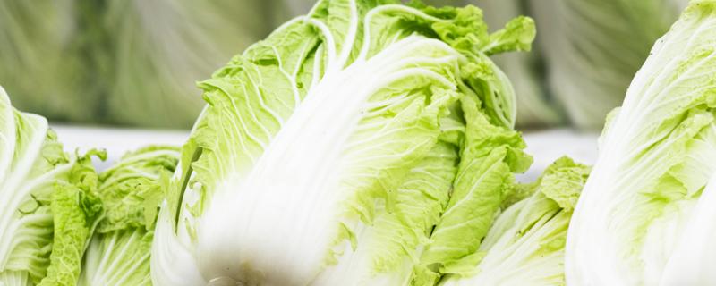 高山蔬菜连作障碍的预防与控制措施（高山蔬菜连作障碍的预防与控制措施包括）