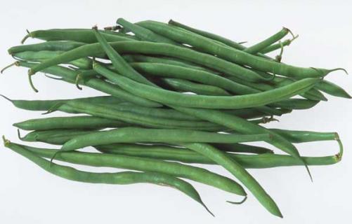 四季豆（四季豆没炒熟会中毒吗）