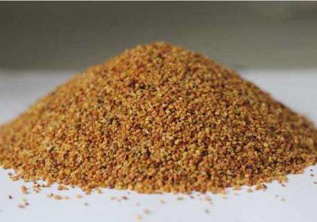 苦荞茶 苦荞茶能降血糖吗