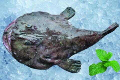 安康鱼 安康鱼的功效与作用